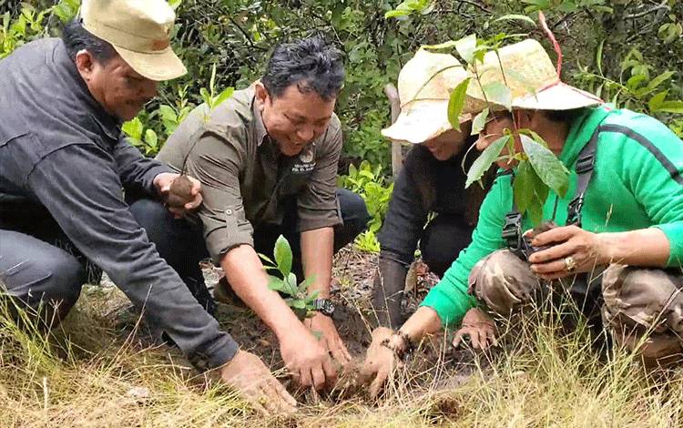 Kelompok Tani Desa Lampuyang Tanam Pohon untuk Lestarikan Hutan
