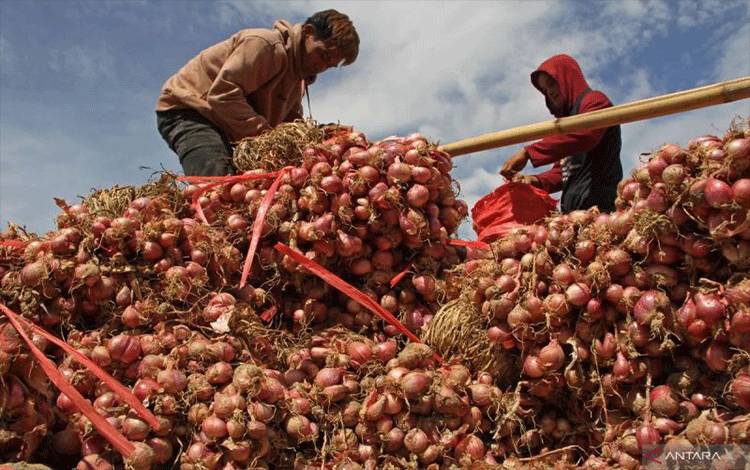 Harga Pangan Selasa: Cabai Rawit Merah Rp67.750/kg