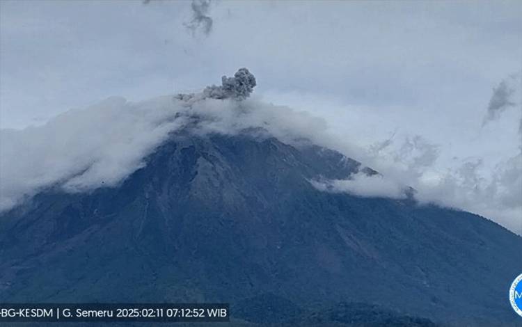 Gunung Semeru Erupsi dengan Tinggi Letusan 700 Meter di Atas Puncak