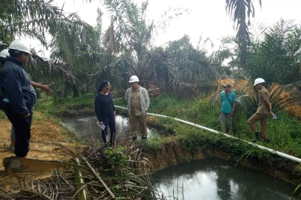 Limbah Cair Pabrik Sawit Bernilai Ekonomi Tinggi