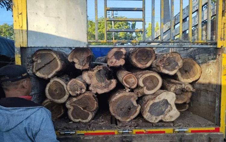 Polhut Amankan 11 Gelondong Kayu Hasil Pencurian di Hutan Jati