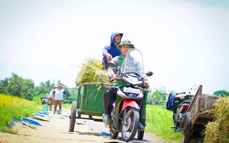 Kementan: Ketahanan Pangan RI Terjaga Dibanding Filipina yang Darurat
