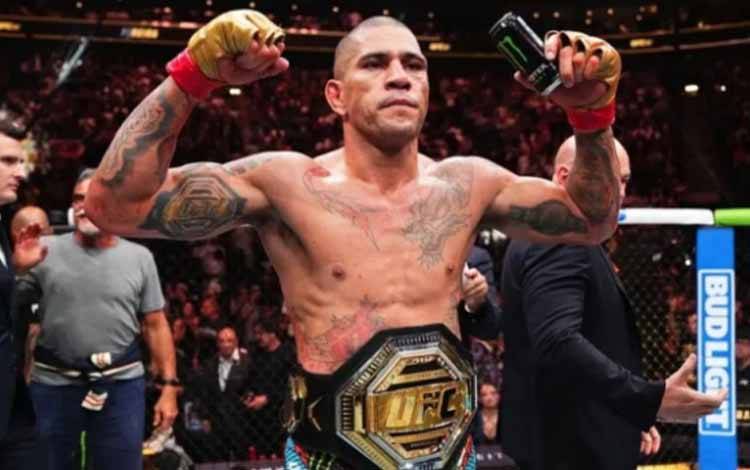 UFC Umumkan Alex Pereira Lawan Magomedov Ankalaev Laga Utama UFC 313