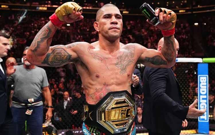 Alex Pereira Yakin UFC Wujudkan Laga Tinjunya Lawan Oleksandr Usyk