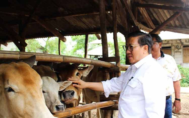 Dirjen Kementan: Kasus PMK Turun Drastis dari 2.412 jadi 182 Kasus