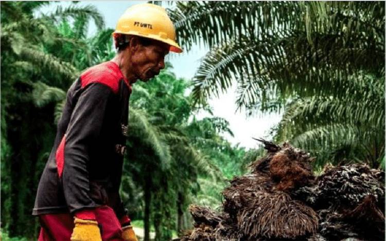 Susun Rencana Strategis BPDPKS akan Bangun Masa Depan Kelapa Sawit Berkelanjutan