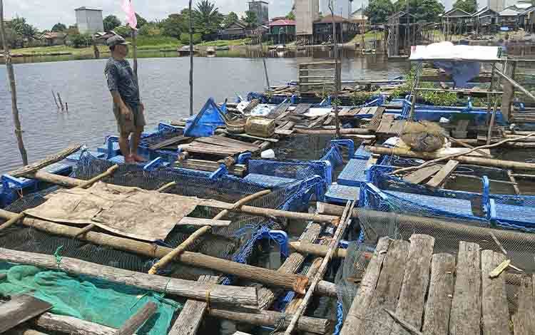 Dinas Perikanan Seruyan Ajak Masyarakat Awasi Sumber Daya Perikanan