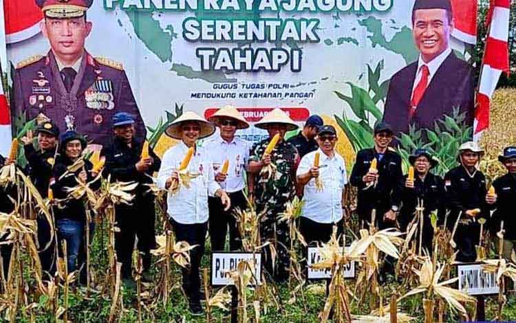 Pemkab Barito Utara Apresiasi Panen Jagung Serentak Tahap I