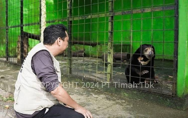 Alobi: Tambang Timah Ilegal Marak Picu Konflik Buaya dan Manusia