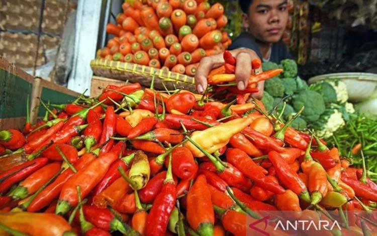 Dibanding Pekan Lalu, Harga Cabai Merah Besar Turun Rp20 Ribu di Kobar