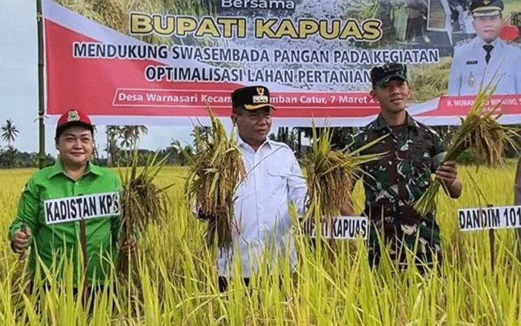 Bupati Kapuas Panen Raya Padi di Desa Warna Sari, Dorong Semangat Petani