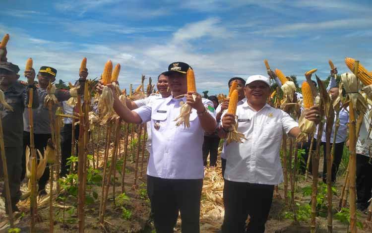 Bupati Apresiasi Lapas Sukamara Berhasil Budidayakan Jagung dan Cabai