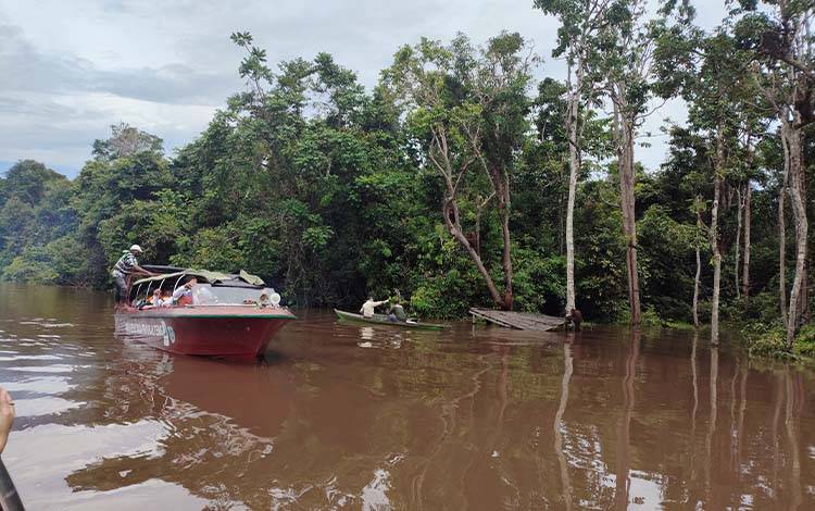 PT SSMS Tbk Konsisten Lindungi Lingkungan Lewat Program Pra Pelepasliaran Orangutan