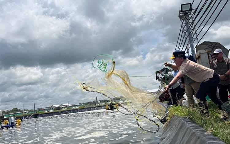 Langsung Menjala Udang, Gubernur Kalteng Tinjau Shrimp Estate di Desa Sei Raja
