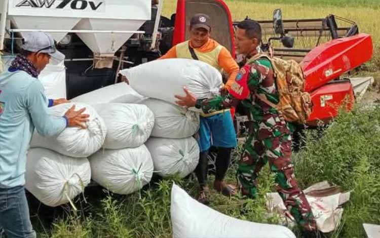 Kolaborasi Kodim 1011 Kuala Kapuas dan Bulog Maksimalkan Serapan Gabah