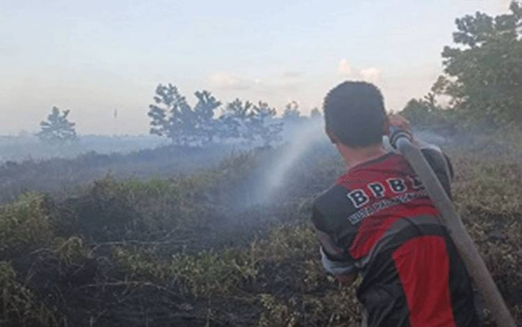 BMKG Prediksi Puncak Musim Kemarau di Kalteng Juni-Agustus 2025, Waspadai Karhutla