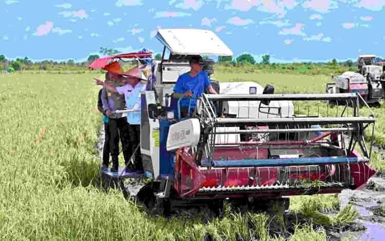 Panen Raya Serentak Perkuat Komitmen Pemerintah terhadap Petani