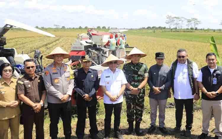 Panen Raya Serentak, Kalteng Catat Produktivitas di Atas Rata-Rata Nasional