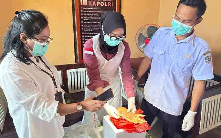 Heboh! Warga Desa Sandul Temukan Potongan Tangan di Sungai, Ternyata Bukan Milik Manusia