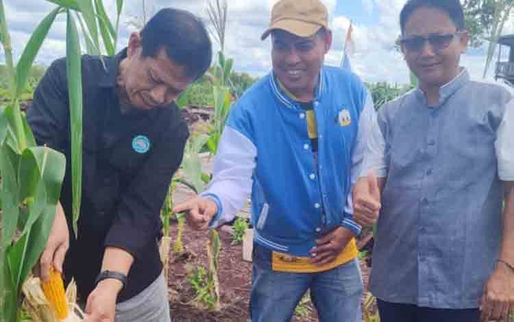 Ketua GAPKI Kalteng Tinjau Pengembangan Jagung dan Padi