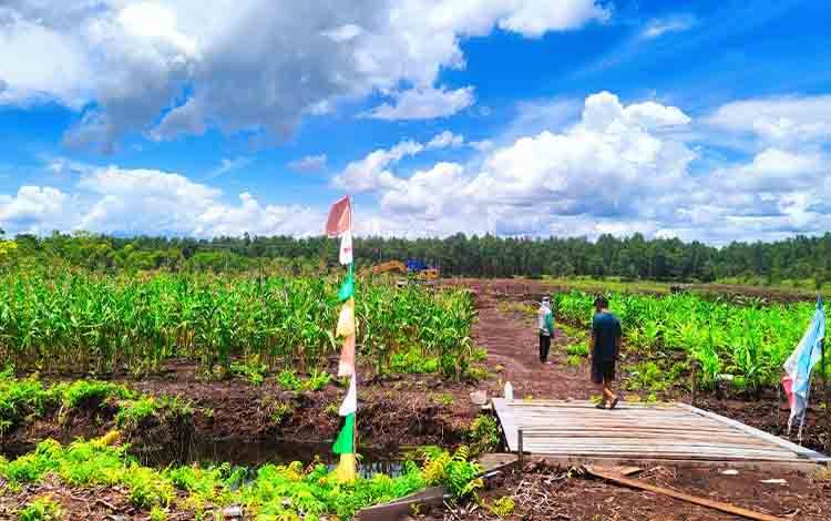 GAPKI Kalteng Harapkan Mampu Dukung Program Swasembada Pangan Nasional