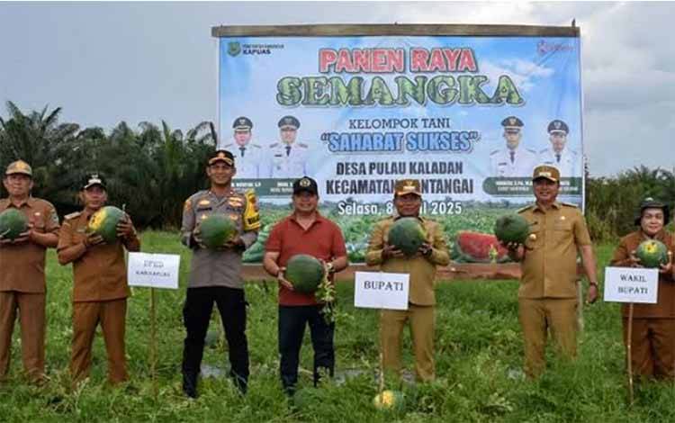 Hadiri Panen Semangka di Desa Pulau Kaladan, Ini Kata Wakil Ketua I DPRD Kapuas