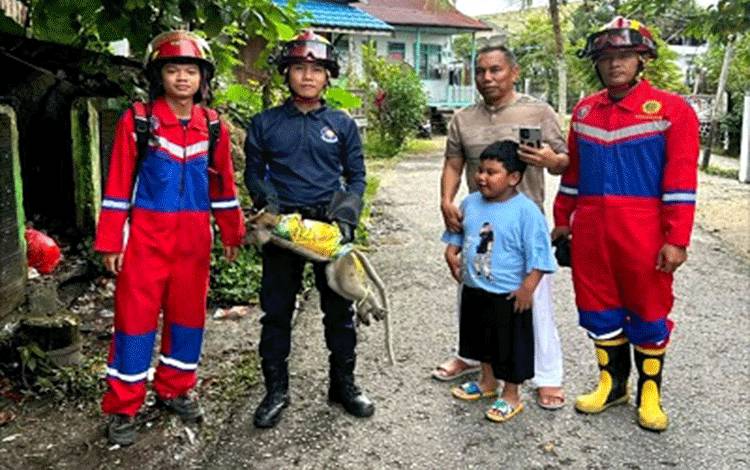 Disdamkarmat Barito Utara Evakuasi Monyet yang Dibuang di Tempat Sampah