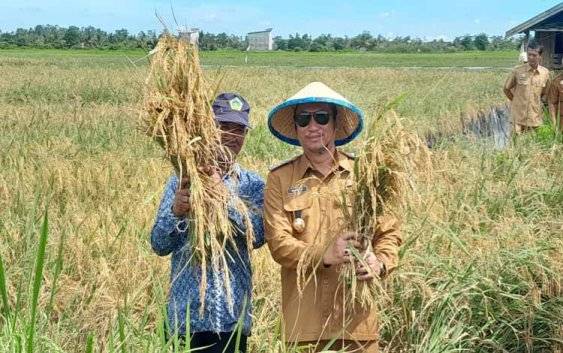 Pemkab Sukamara Akan Membangun Bidang Pertanian