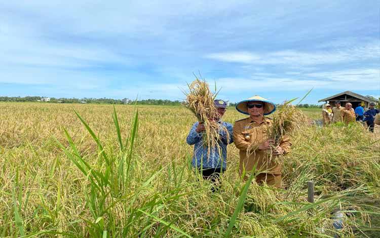 Bupati Sukamara: Pertanian Terintegrasi Diharapkan Mengatasi Permasalahan Petani