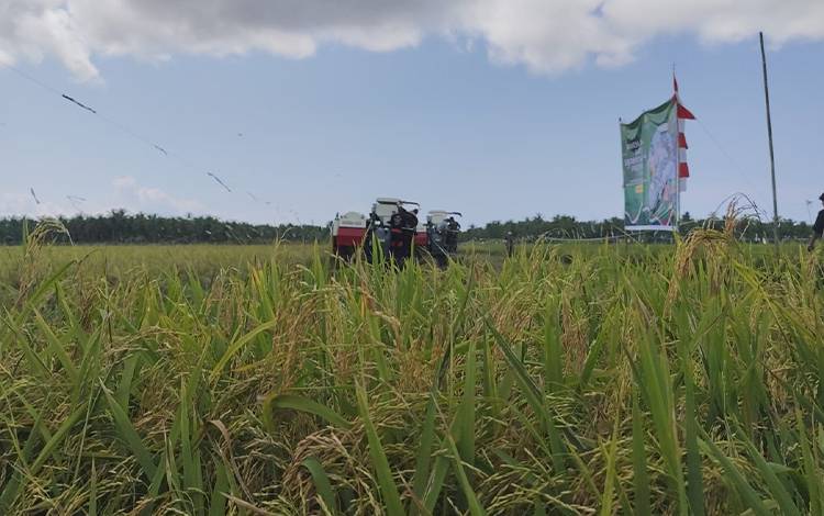 Normalisasi Saluran Irigasi Desa Lampuyang Dimulai Mei 2025