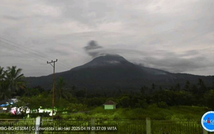 Gunung Lewotobi Laki-Laki Erupsi Tiga Kali pada Sabtu