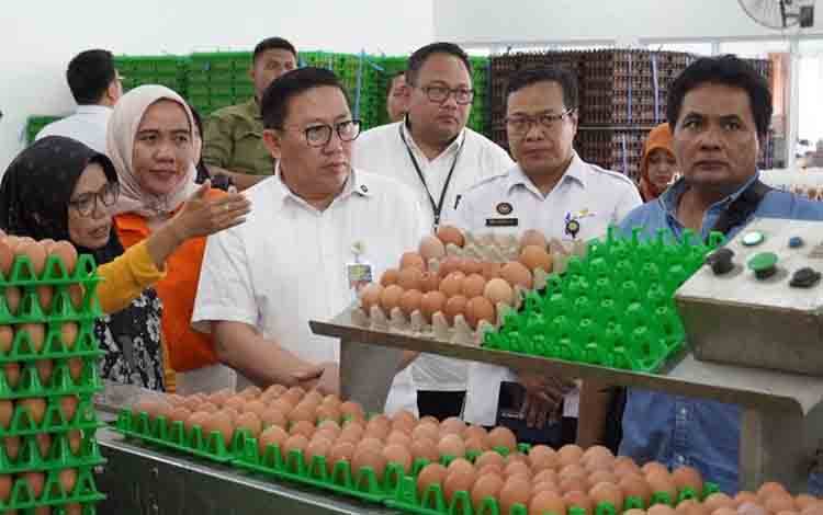 Kementan Perkuat Serapan-stabilisasi Harga Telur Tingkat Peternak