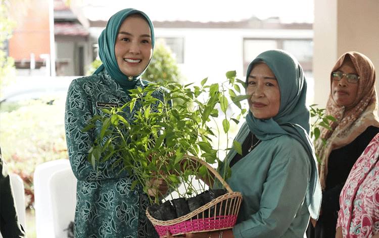 TP PKK Kalteng Bagikan 562.000 Bibit Cabai di Peringatan HKG PKK ke-53