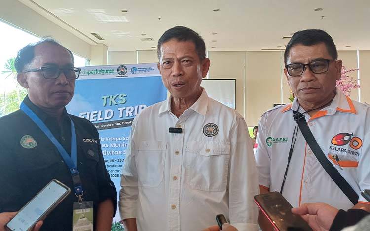 GAPKI Kalteng: Penyitaan Lahan Sawit Berdampak Pada Produksi