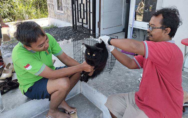 Pencegahan Rabies Diupayakan PDHI Kalteng untuk Setiap Daerah