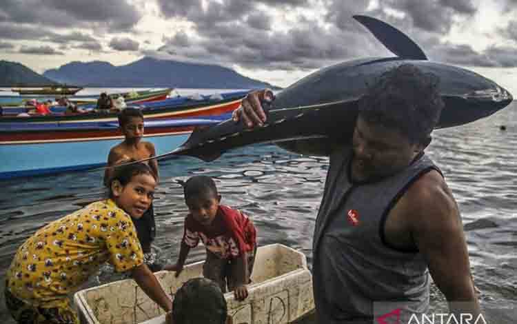 KKP Sebut Indonesia Merupakan Produsen Tuna Terbesar Dunia