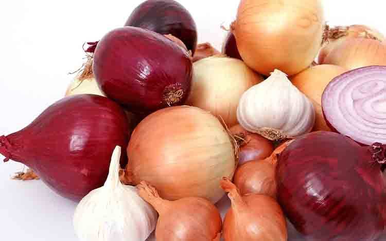Komoditas Bawang dan Cabai Jadi Pendorong Inflasi April 2025