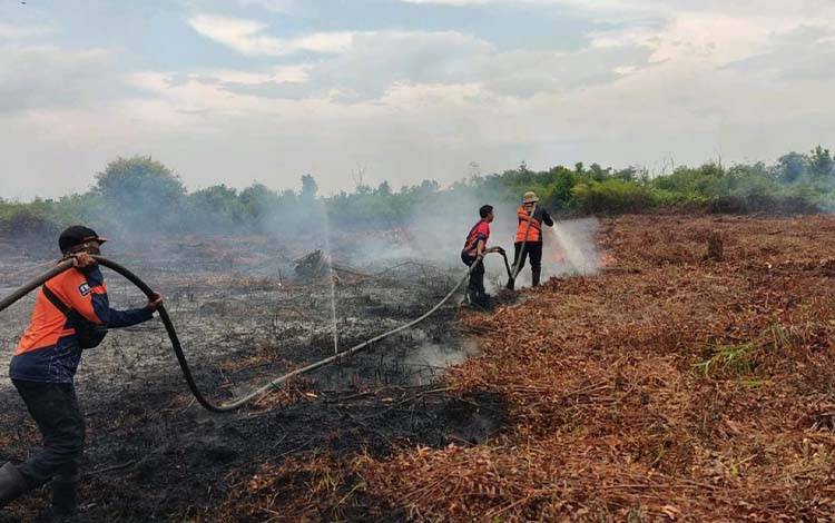Masih Ada Curah Hujan, Namun Sudah Terjadi Karhutla di Sampit