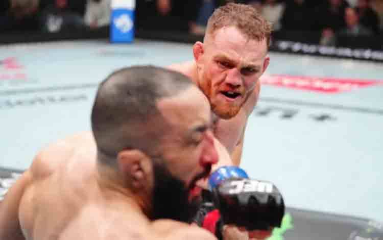 Kalahkan Belal, Maddalena Rebut Gelar Juara Kelas Welter UFC
