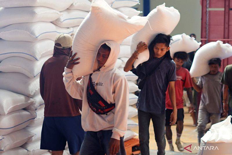 Satu Harga Gabah dan Tantangan Mendasar Regulasi Pangan