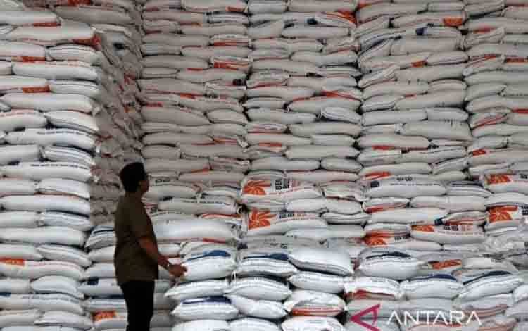 Mentan: RI Terdepan di ASEAN dalam Produksi Beras