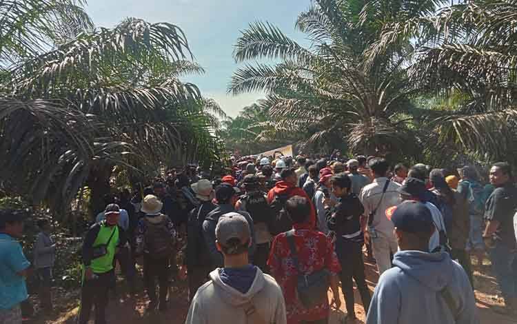 Ratusan Warga Desa Camba Kotim Geruduk PT. NSP Tuntut Plasma Sawit