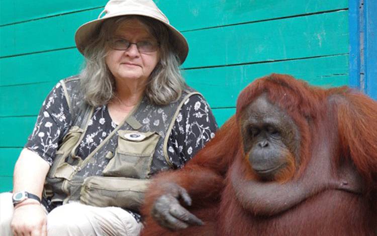 Meski Usia 79 Tahun, Prof Dr Birute Mary Galdikas Tetap Semangat Lindungi Orangutan di Tanjung Puting
