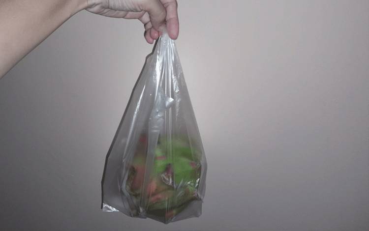 Penggunaan Kantong Plastik Dinilai Dewan Berbahaya, Perlu Langkah Pengendalian Dampaknya