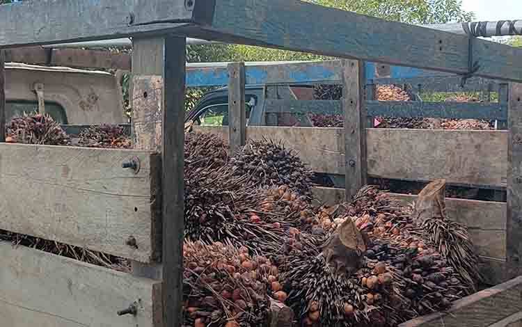 Lima Otak Pencurian dan Perusakan Kebun Sawit PT AKPL Ditangkap Polda Kalteng