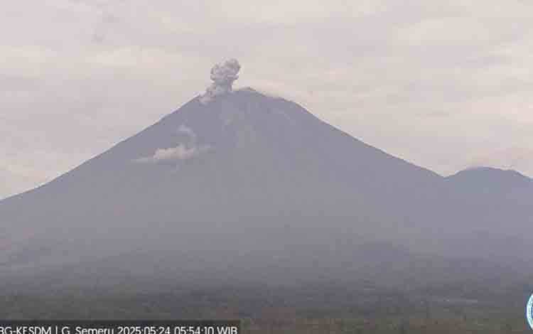 Gunung Semeru Erupsi Empat Kali dengan Letusan hingga 800 Meter