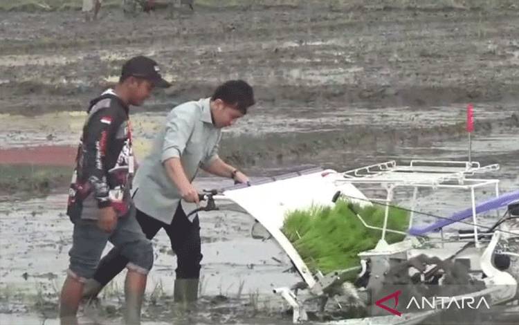 Wapres Gibran Bersama Mentan Tanam Padi dengan Mesin di Ngawi