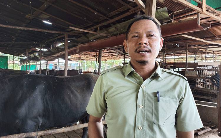 Kepala RPH Kalampangan Imbau Masyarakat Patuhi Syariat dalam Pemotongan Hewan Kurban