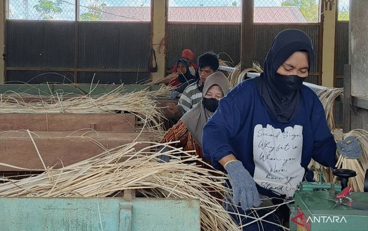 Kemenperin Sebut Perpres 46/2025 Selamatkan 1,7 Juta Pekerja dari PHK