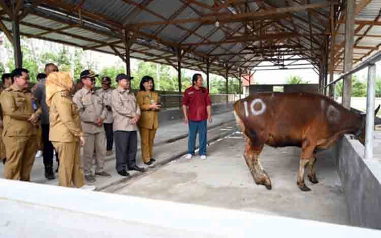 Bupati Kobar Serahkan Bantuan Hewan Kurban Untuk 6 Kecamatan